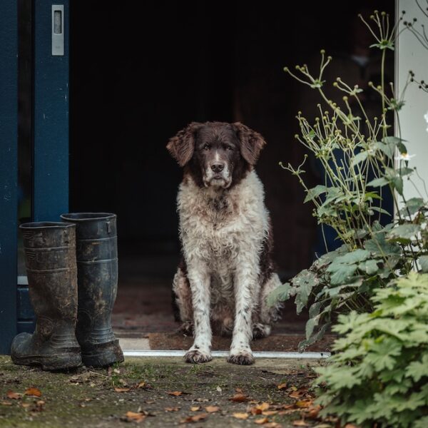 Woudstra's Pleats + IJstuin_LR-134