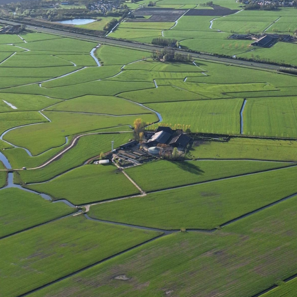 Biologische boerderij Friesland