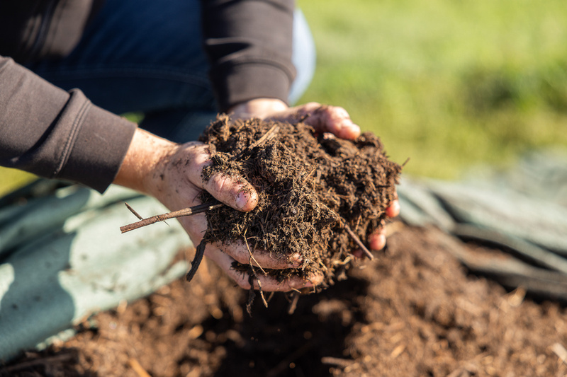 biologisch boeren in Friesland