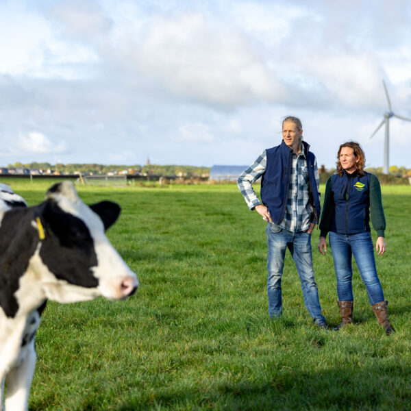 Woudstra's Pleats + IJstuin_LR-057