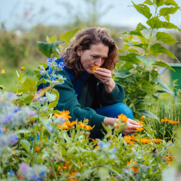 Woudstra's Pleats + IJstuin_LR-145